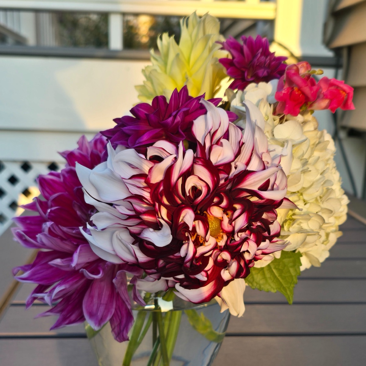 Bouquet of purple, burgundy and white dahlias with white hydrangea and snapdragons